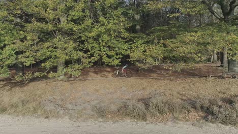 Drone-shot-from-the-side-of-mountainbiker-riding-through-a-forest