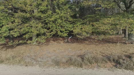 drone shot from the side of mountainbiker riding through a forest