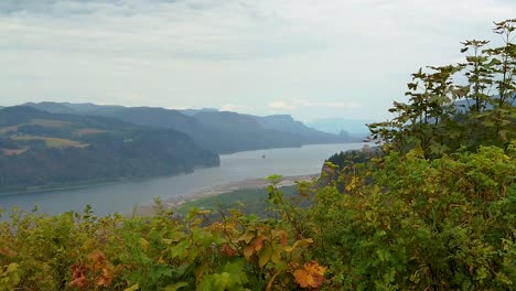 Hd-Raspar-De-Derecha-A-Izquierda-A-Lo-Largo-De-Los-Setos-De-Otoño-Para-Revelar-La-Casa-Vista-En-Un-Acantilado-En-La-Distancia-Con-Vista-Al-Río-Columbia-Con-Cielo-Mayormente-Nublado-Tomar-Tres