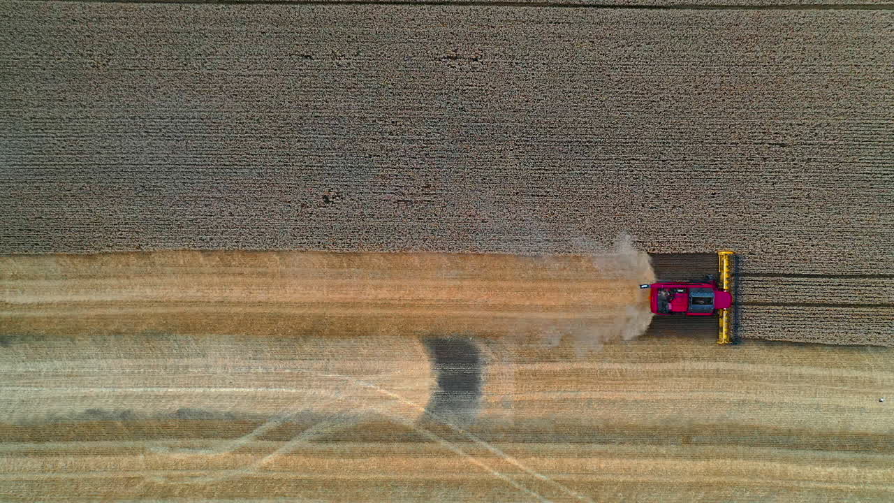 Field during seasonal works. Combine harvester gathering ripe crop on the field. Modern agricultural machinery in farmland. View from above.