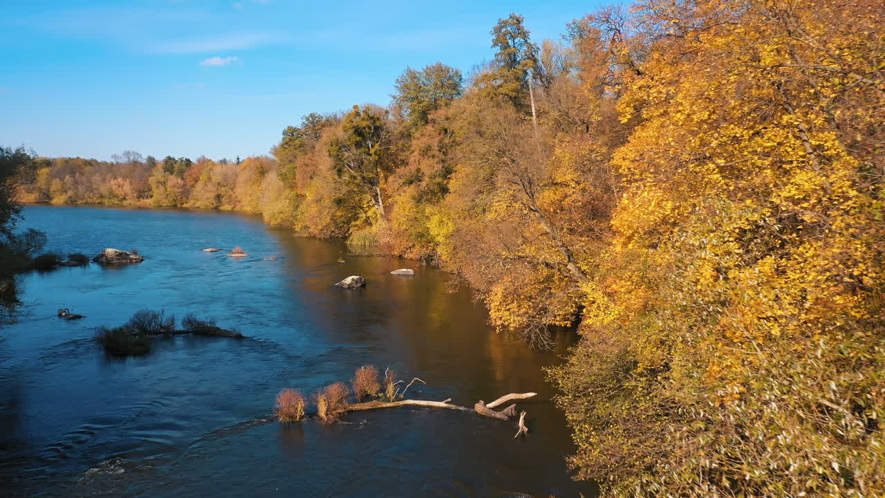 Forest and river wild landscape. Aerial view of forest with river during winter. Autumn concept
