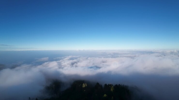 Lesní koruny stoupající nad mraky odpoledne na ostrově Madeira