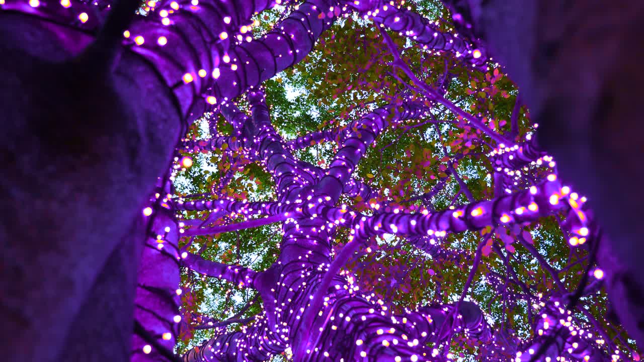 나무에 x mas led 장식 조명 설정