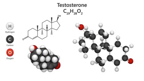 testosterone (c19h28o2). seamless loop.