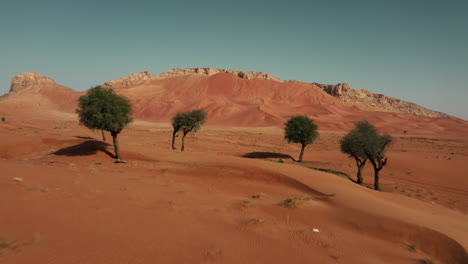 desert landscape with red sand dunes and sparse trees
