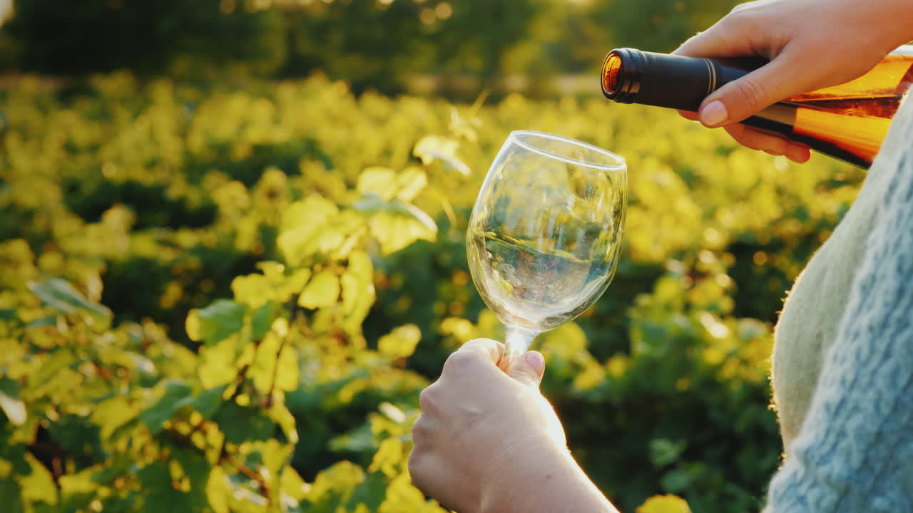 Una donna versa vino bianco in un bicchiere. Degustazione privata in vigneto.