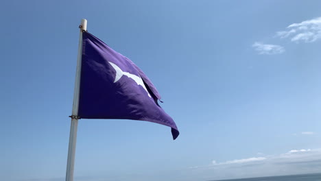 Una-Bandera-Que-Advierte-De-Un-Tiburón-Avistando-Olas-Desde-Un-Asta-De-Bandera-En-Un-Hermoso-Día-En-La-Playa