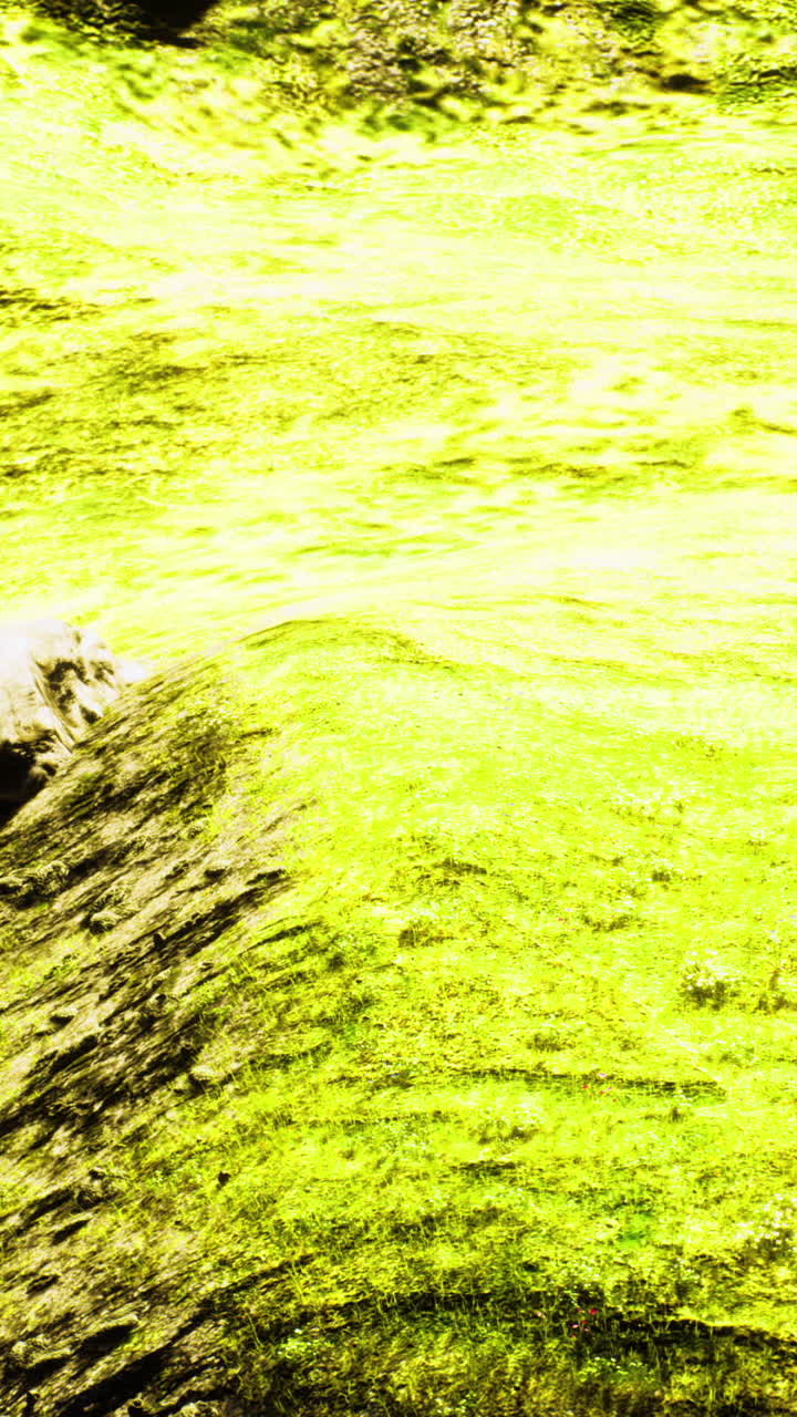 Vibrant yellow hues dance on the surface of the flowing river at noon