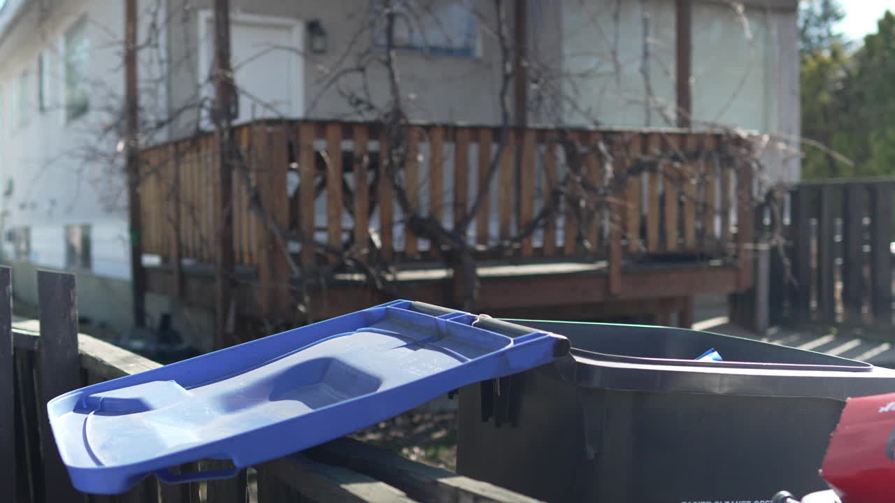 무성한 집 뒤편에 열린 쓰레기통