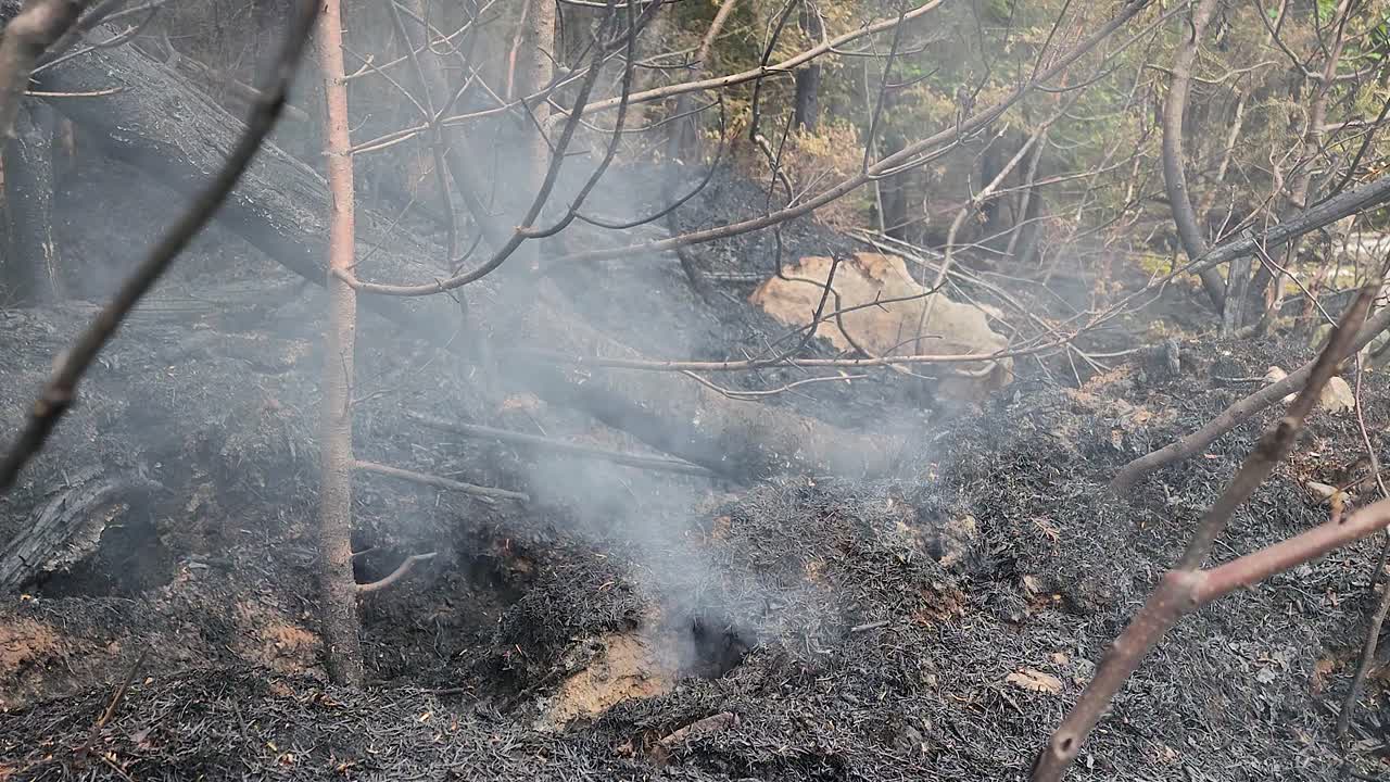 una foto de cerca del humo que sale del suelo después de los incendios forestales de ontario
