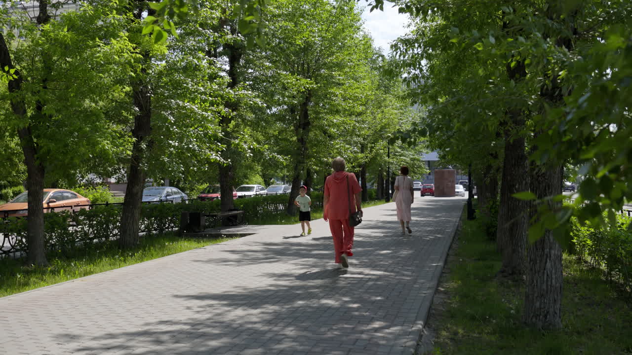 Люди идут по мощеной городской дорожке с деревьями.