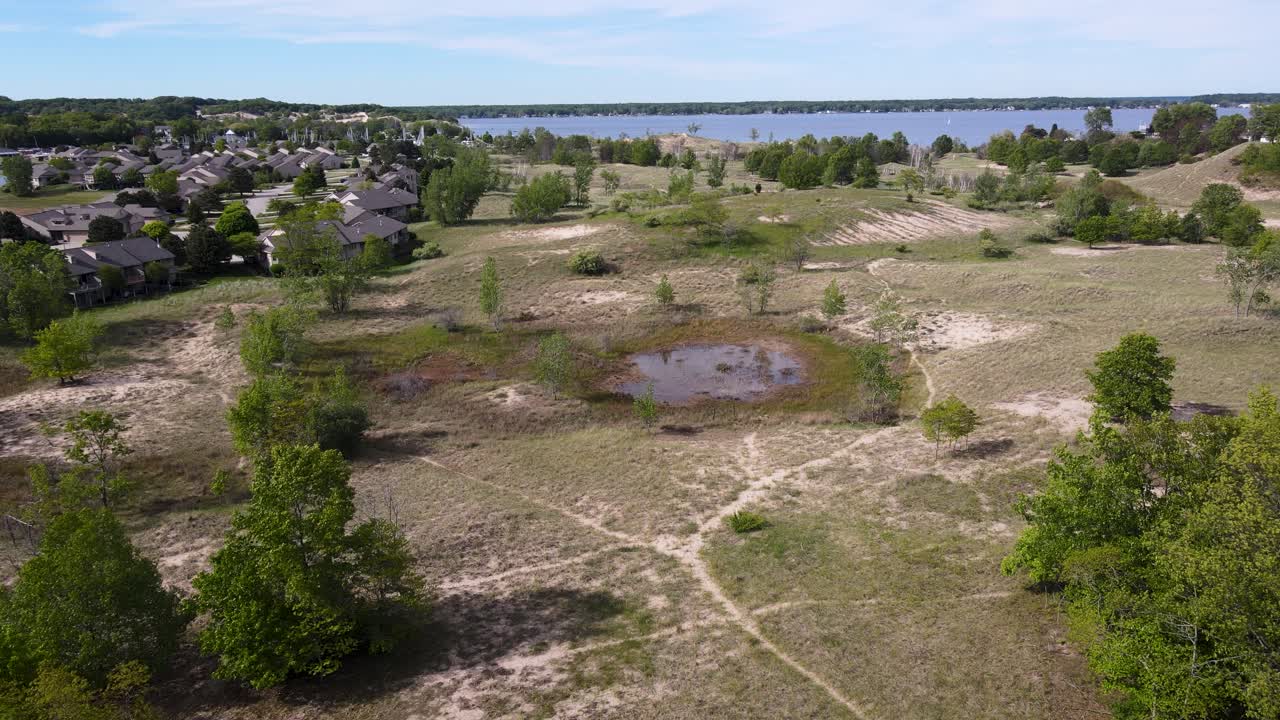 brisa ligera que fluye a través de las plantas de dunas de arena