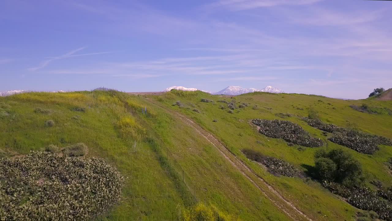 잔디로 인 언덕의 공중 비행은 넓은 파노라마 도시 풍경과 도시 개발을 가진 고속도로를 드러니다. 멀리 눈 인 앤젤레스 국립 숲의 발바닥에 도달합니다.