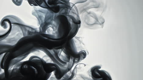 flowing black smoke swirls against a white background. black smoke gracefully swirls and dances against a bright white backdrop.
