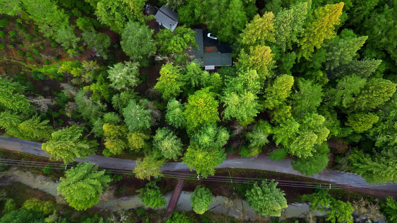 Overhead view of a rural cabin in California's isolated woodlands
