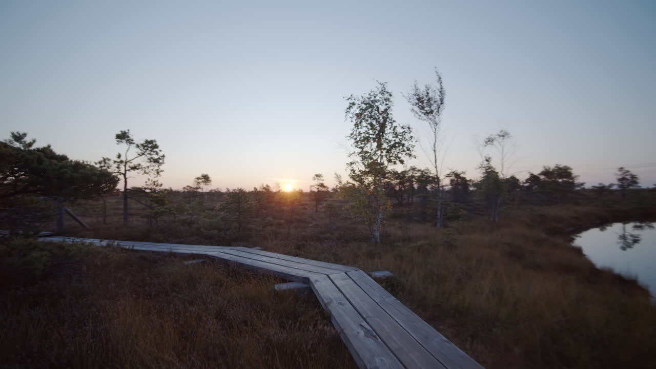Moving shot of wooden pathway at sunrise.