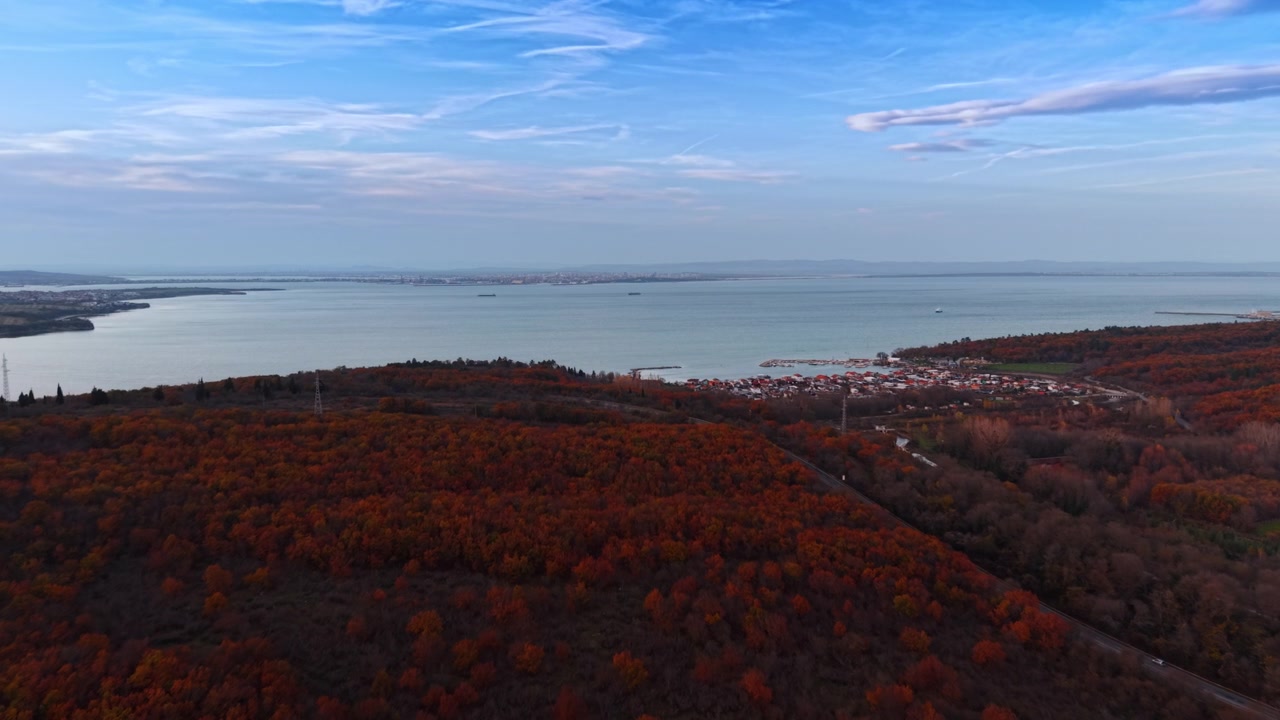 Autumn forest and bay viewed from elevated drone position. Orange and red canopy stretching to calm water with distant town and harbor under blue sky.