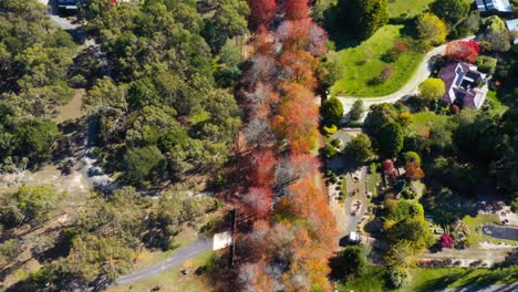 cinematic footage above honour avenue by drone