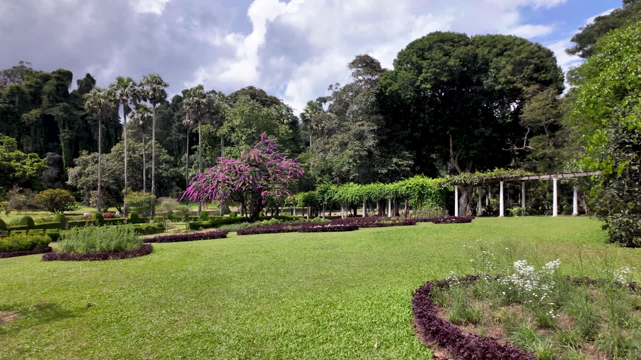 Metal archway covered in vines is framing the entrance to a lush green garden in the royal botanic gardens of peradeniya, sri lanka
