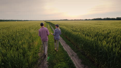 Two-Farmers-Communicate-In-A-Field-Of-Wheat-The-Woman-Speaks-On-The-Teléfono-My-Husband-Uses-The-Tablet