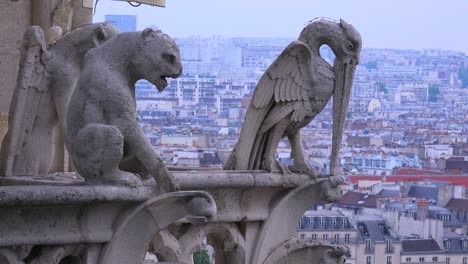 Wasserspeier-Wachen-Von-Der-Kathedrale-Notre-Dame-über-Paris-Frankreich-4