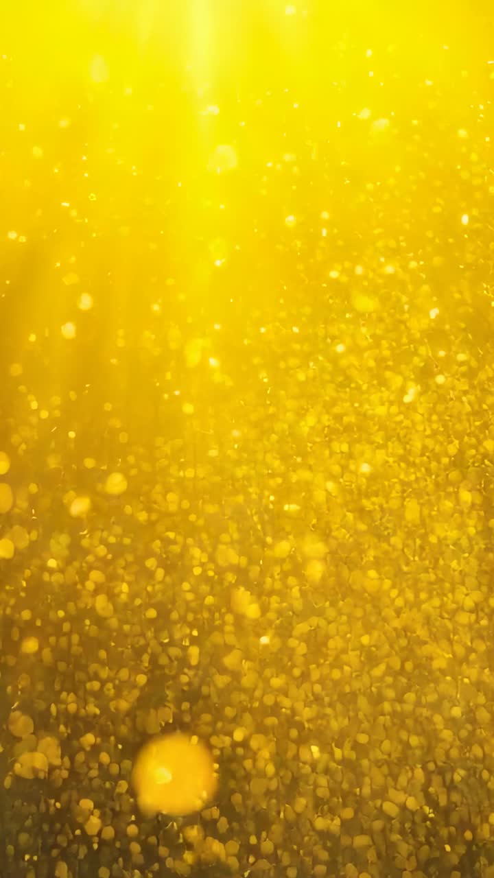 Video verticale: all'inizio particelle dorate che fluttuano sotto fasci di luce con macchioline scintillanti luccicanti
