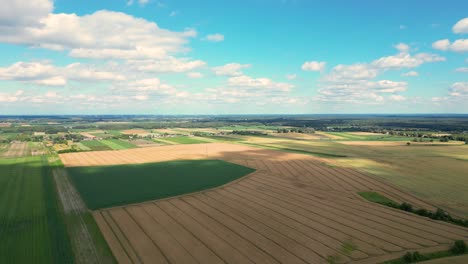 vista aérea con la textura de la geometría del paisaje de muchos campos agrícolas con diferentes plantas como la colza en la temporada de floración y el trigo verde