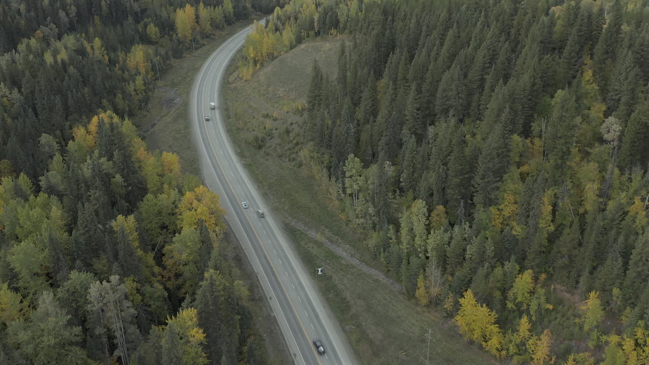 движение автомобилей на горном перевале вдоль хвойного леса в британской колумбии, канада