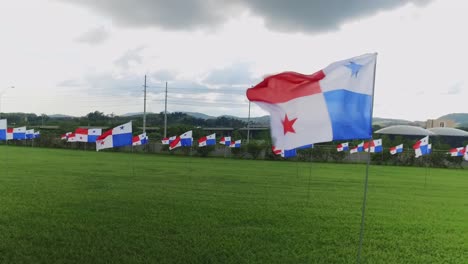 Celebrando-El-Día-Nacional-De-Panamá-Con-Muchas-Banderas