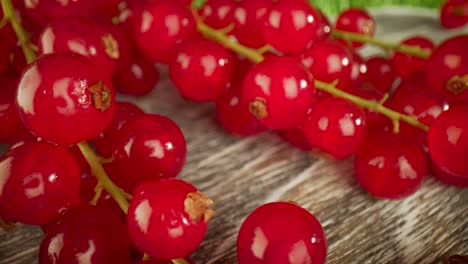 super close macro of a redcurrants on a wooden table.