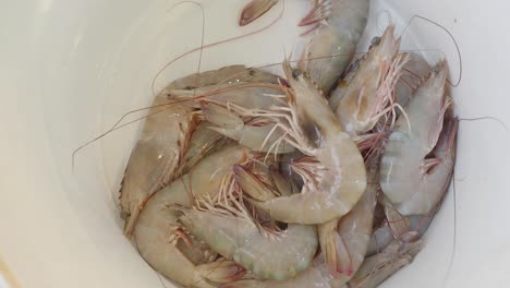 camarones frescos en un cuenco blanco