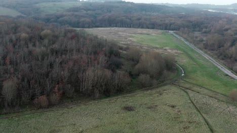 drone flight over woodland area