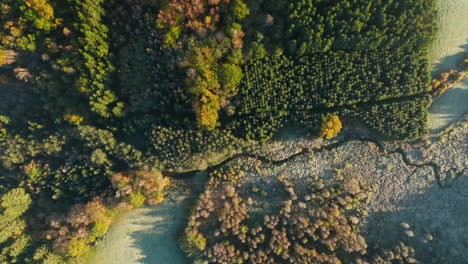 amazing aerial view forest landscape near the sommerain village in luxembourg - aerial shot