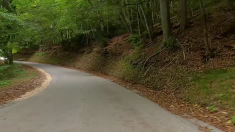 pov view of car driving through forest road