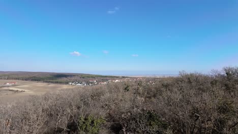 Panoramic view of Lake Neusiedl and surrounding fields from the Kecskehegyi Lookout tower on a clear day.
