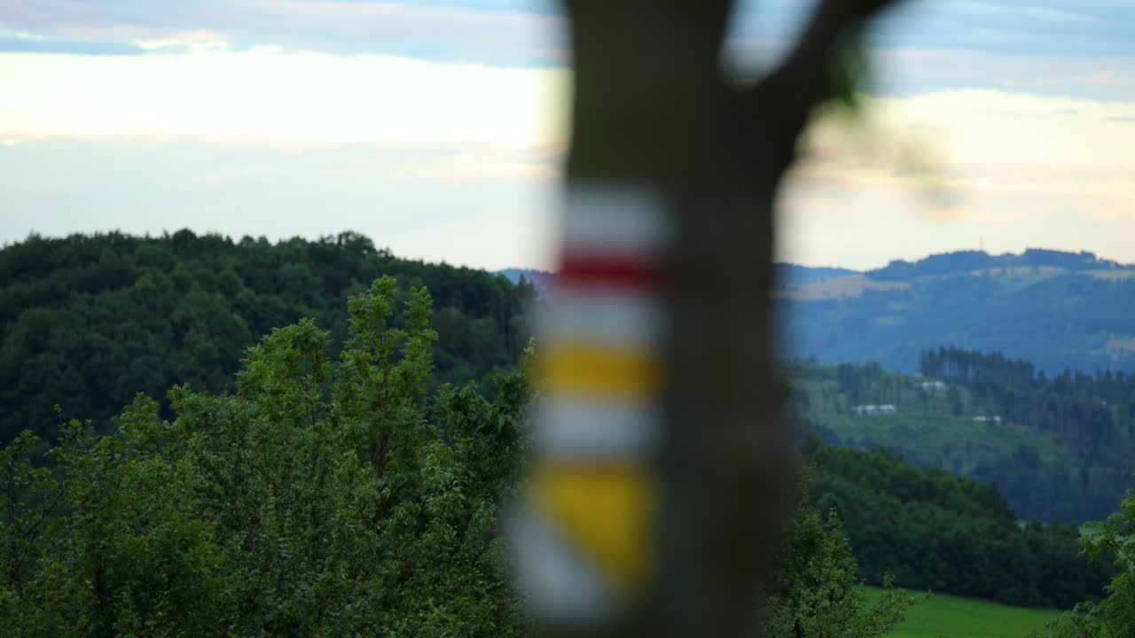 Focus inside hiking sign on a tree view from a distant forest background