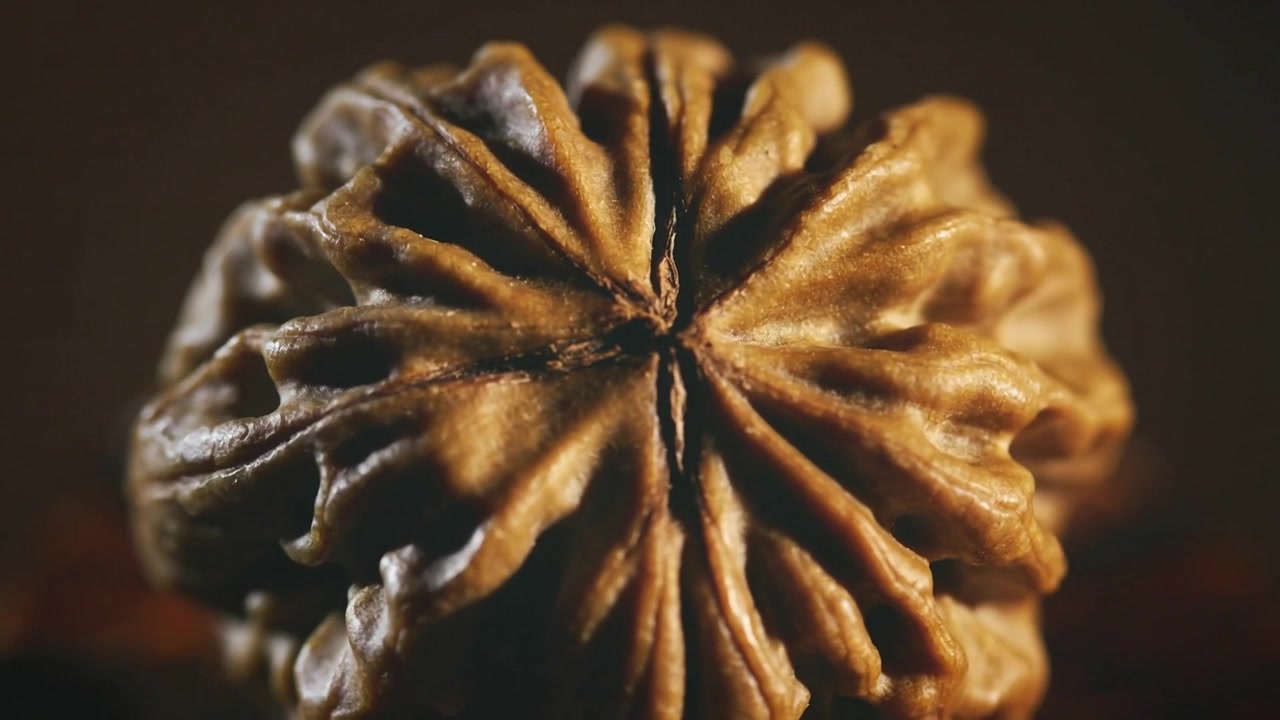 Afastando a câmera, revelando miolo de noz em mesa de madeira quente, para realçar a textura com bokeh