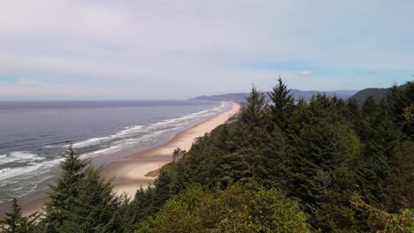 coastal oregon landscape with forest and beach