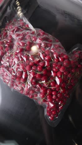 frozen red currants in vacuum-sealed bag