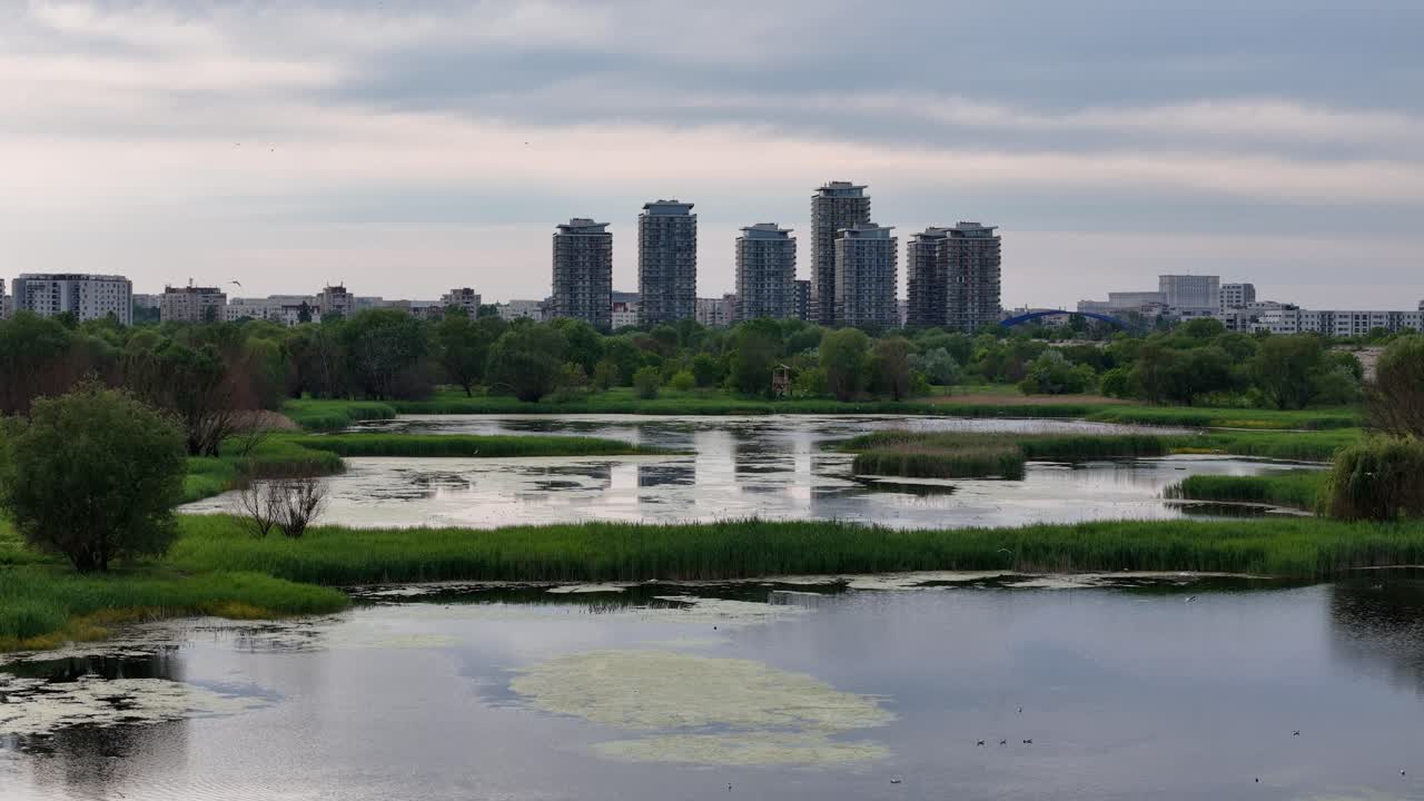 봄에 푸른 식물로 둘러싸인 바카레슈티 델타의 공중 사진, 부쿠레슈티, 루마니아