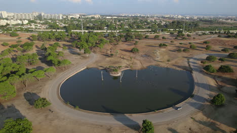 Close-up-on-a-pond-of-calm-hippos-in-the-afternoon-above-Ramat-Gan-Safari-when-it-is-empty-of-visitors