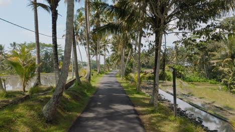 pov driving on tropical island with rice fields on sunny day 4k vacation concept