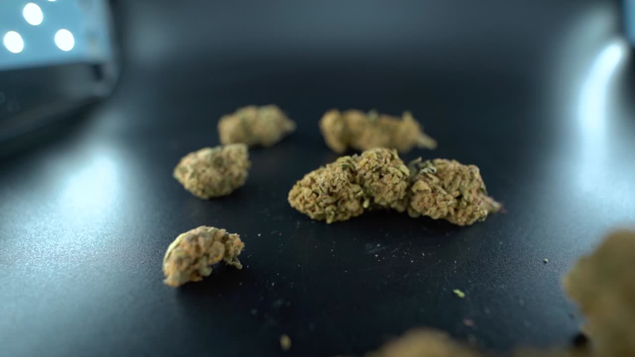 A close up detailed crane forward movement shot above a cannabis plant, marijuana flower hybrid strains, Indica and sativa, 120 fps slow motion Full HD, cinematic studio lighting, LED lights