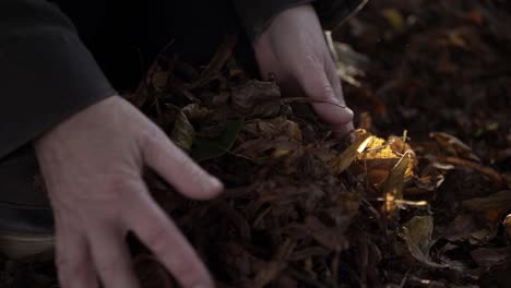 Hände-Sammeln-Herbstblätter-Zu-Einem-Haufen,-Mittlere-Aufnahme