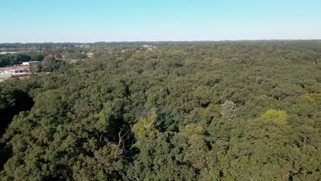 el bosque cercano al lado de la torre de agua en muskegon heights