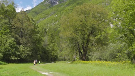 a family walking down a path through a meadow with striding along in a beautiful alpine meadow scenery