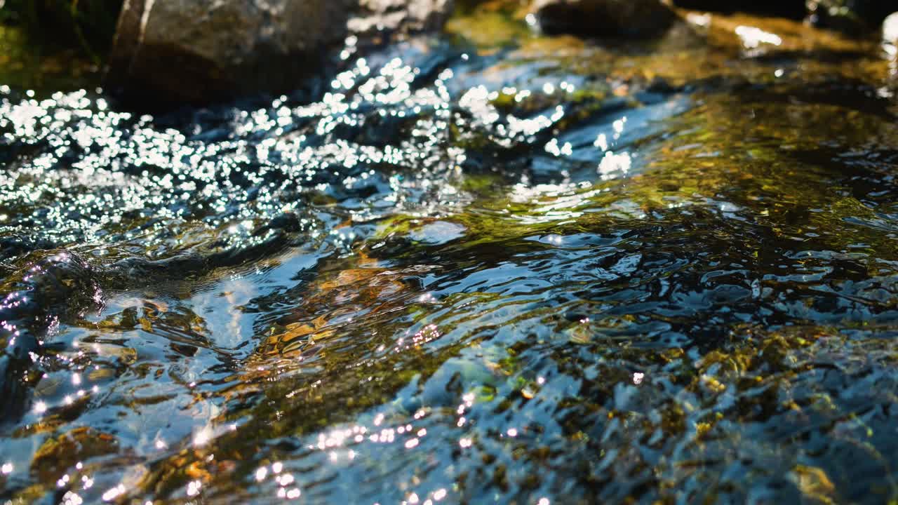 Sunlit stream with rippling water and moss-covered rocks in a tranquil natural setting