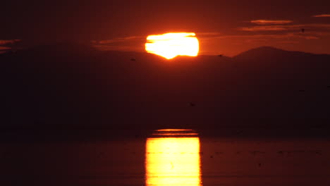 espectacular puesta de sol en el mar de salton