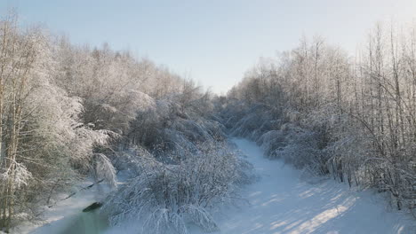 Aerial-drone-flight-over-a-frozen-river-winding-through-a-snowy-forest,-clear-blue-sky,-serene-winter-scene