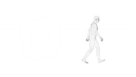 animation of digital human walking on white background